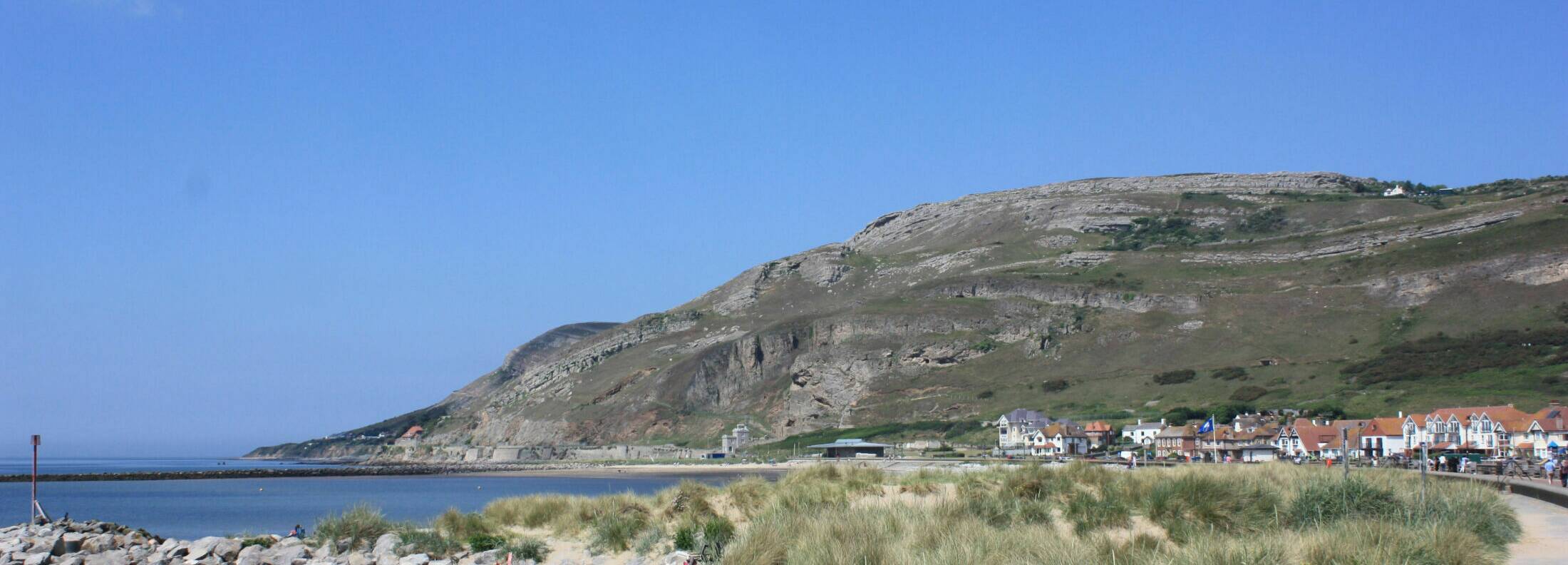 IMG 0155